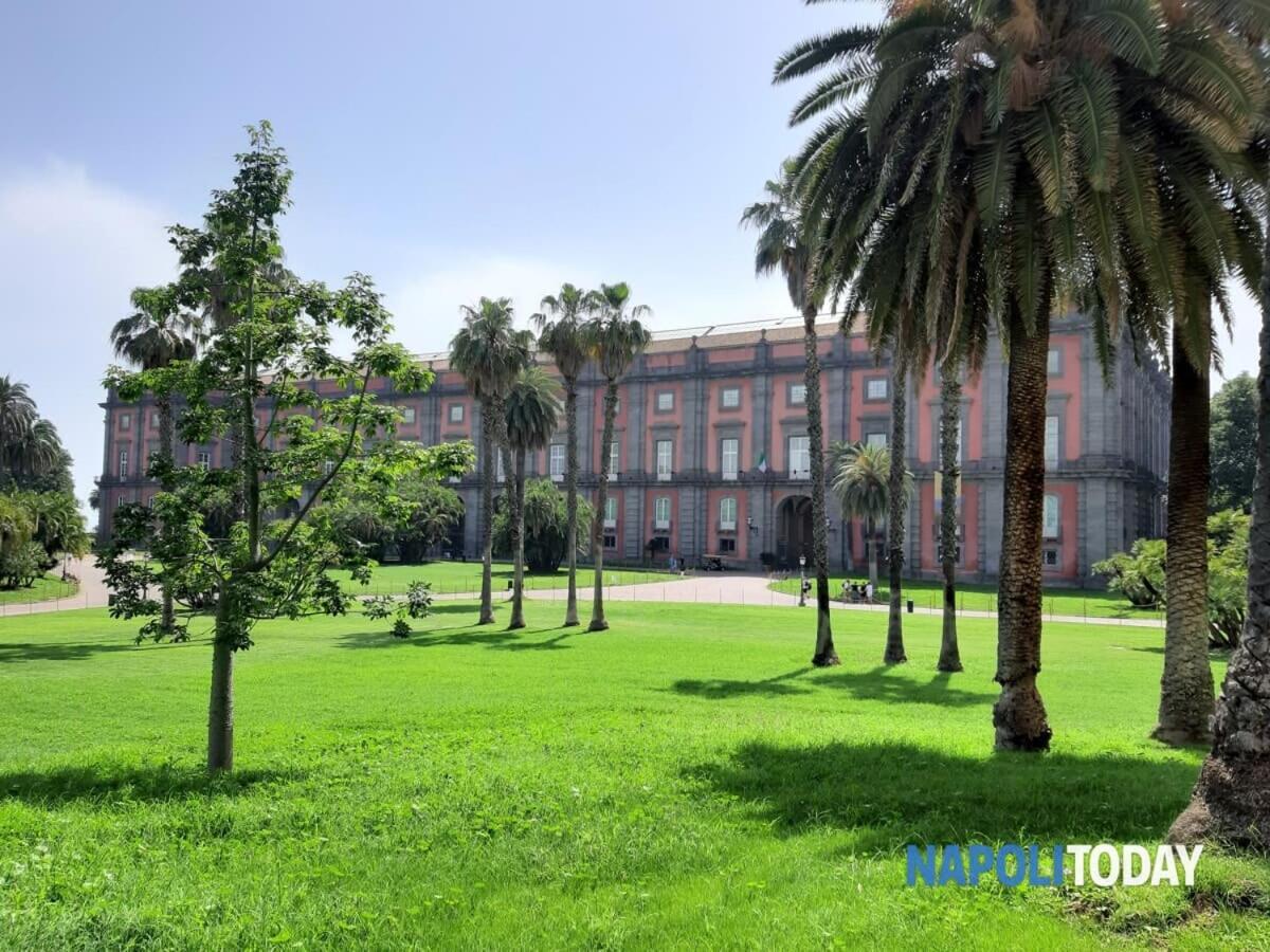 La Casita Nel Bosco Daire Napoli Dış mekan fotoğraf